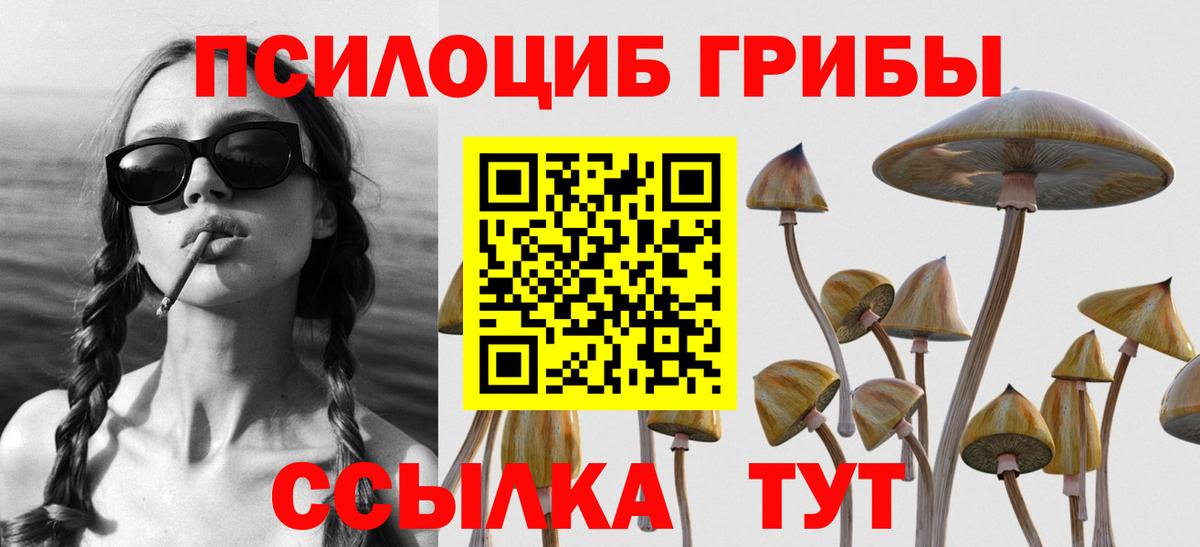 Галлюциногенные грибы Psilocybe Ишим